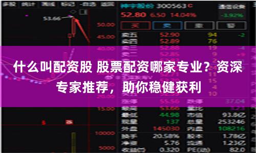 什么叫配资股 股票配资哪家专业？资深专家推荐，助你稳健获利